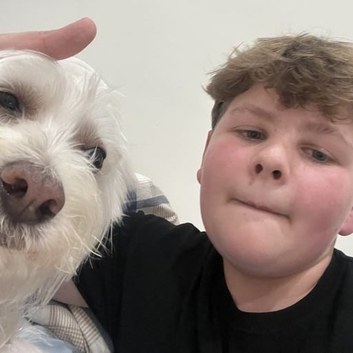 does fozzy have motion