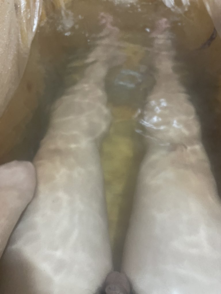 suuuupu (@suuuupu1) on Twitter photo 