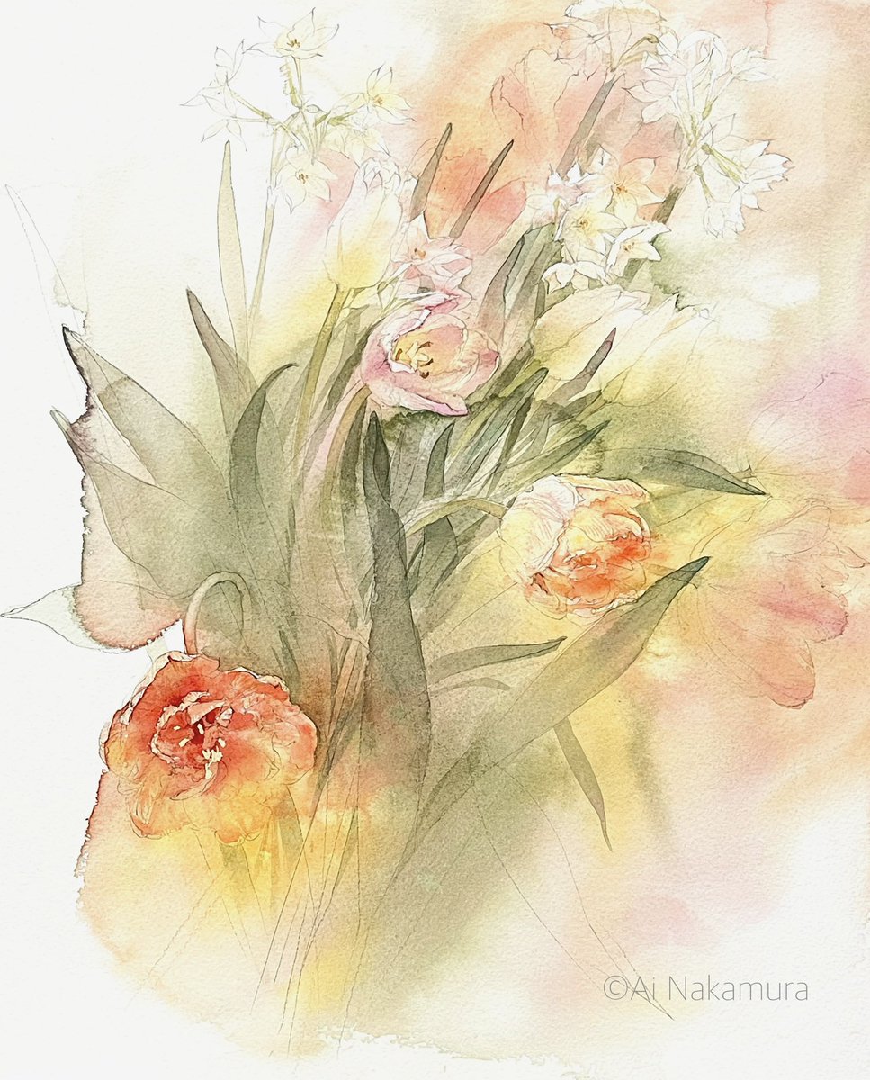 チューリップとスイセンの香り #watercolorpainting #透明水彩