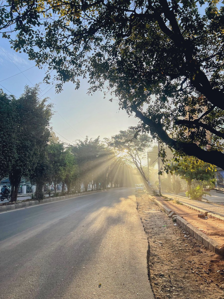 aditipandya29's tweet image. Every route is scenic… Sunday morning walk #musing #brookefieldmainroad #Bangalore #whitefield