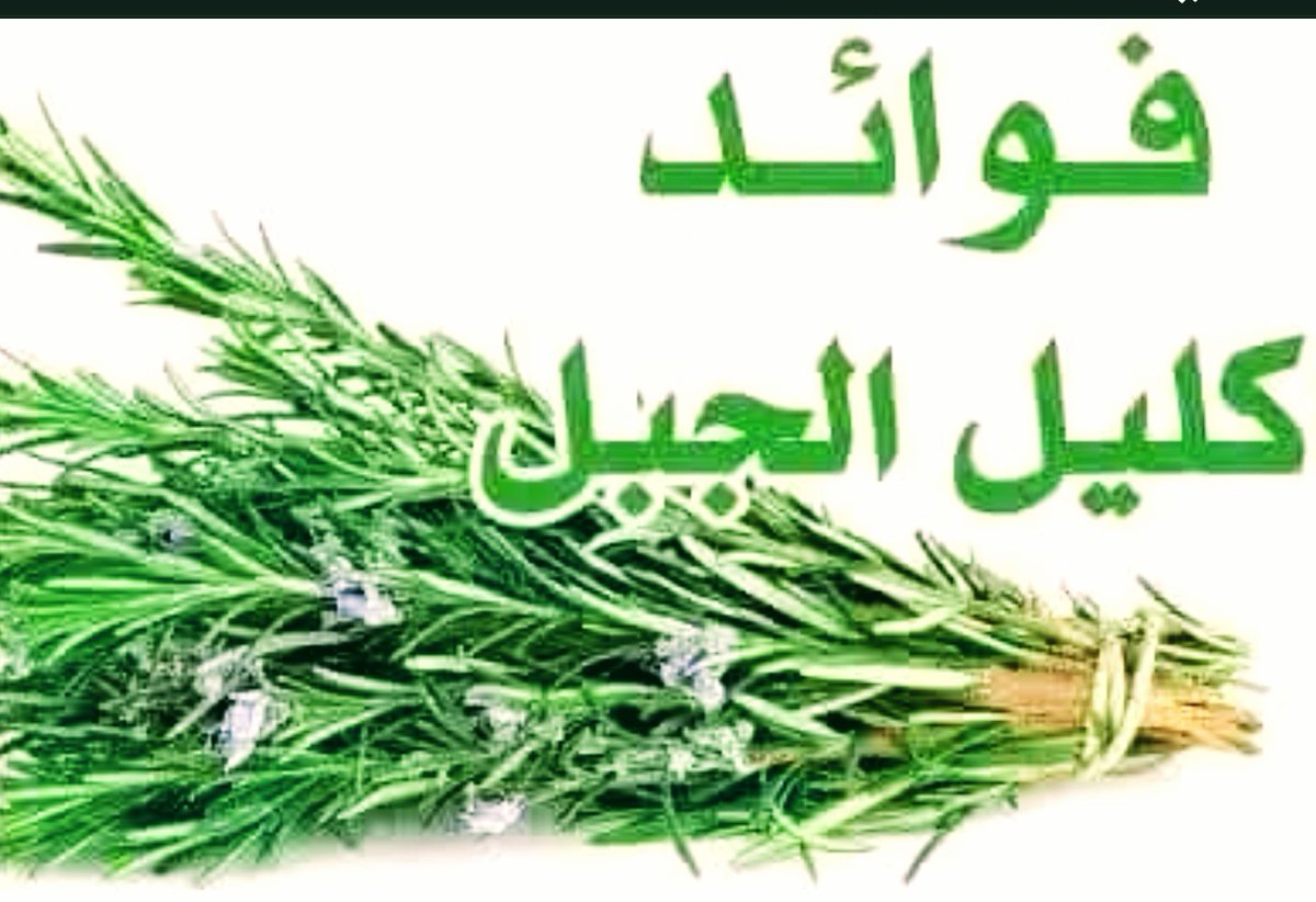 ☘️فوائد (اكليل الجبل )☘️  يعلاج ضعف الأعصاب لمرضى السكري التنميل والخذلان
بالأطراف - ضعف الذاكرة
والنسيان لكبار السن وبالخصوص لمرضى السكري . يعالج القولون العصبي . ويعتبر إكليل الجبل مضاد حيوي طبيعي وفعال جدآ .
🌿طريقة الاستعمال 🌿
ملعقة أكليل الجبل فى كوب ماء مغلي ويشرب .
