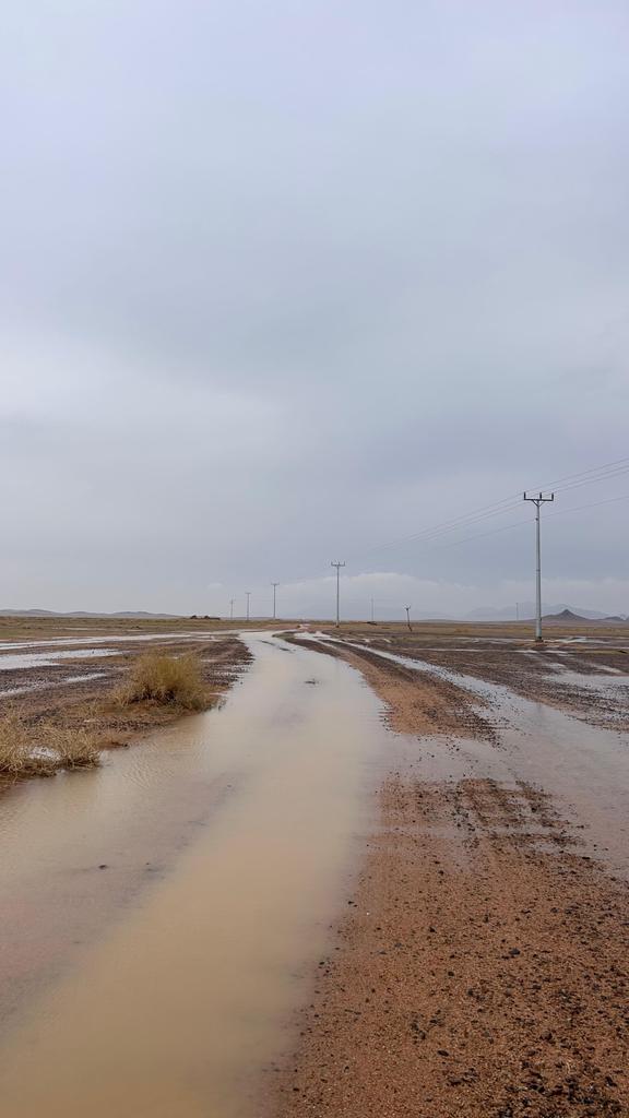 بدائع السليمي ديم له ساعتين 
#برق_الهدايم