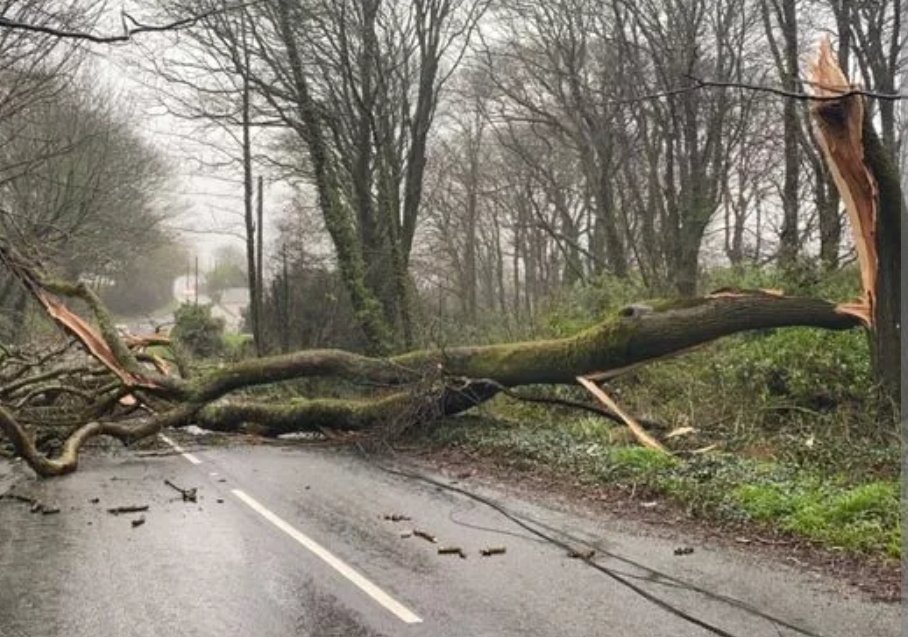 Please be careful if you take to the roads or are planing to head out and about today, trees weakened by the recent storm may be at risk of falling during this storm. Stay safe