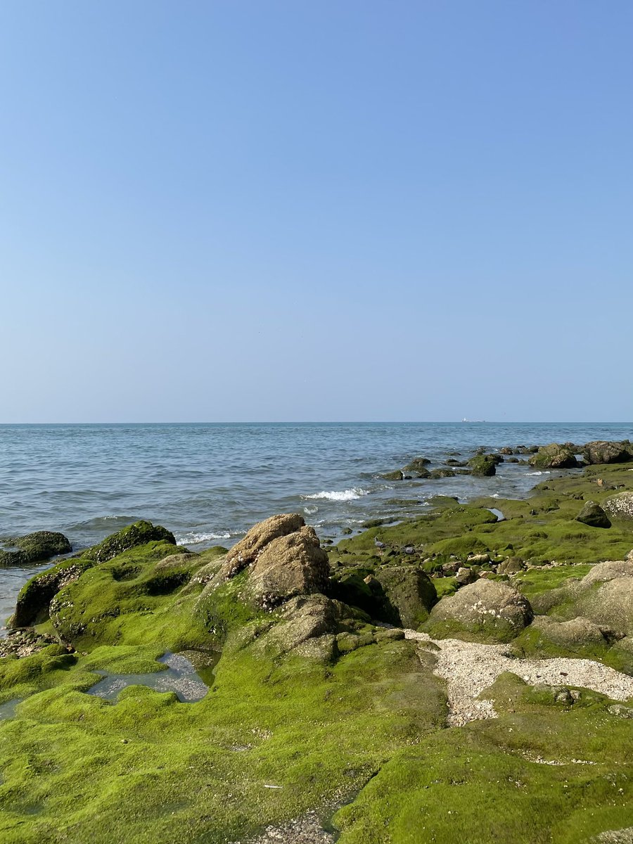 พัทยา 🌊