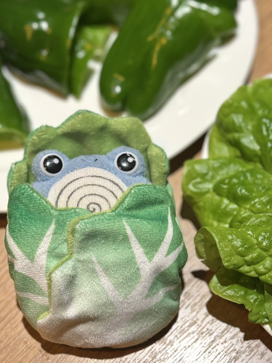 po_kurashi's tweet photo. 🥬 https://t.co/8tfVArh0vj