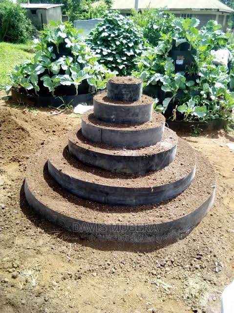 Nico_mutua11's tweet photo. Time to level up your garden with our Cone Gardens! π± Plant fresh crops and get that kibao harvest bila stress. Start now, and watch your garden thrive! #ConeGardens #ShambaGoals #MkulimaVibes https://t.co/bImMsdCxSG