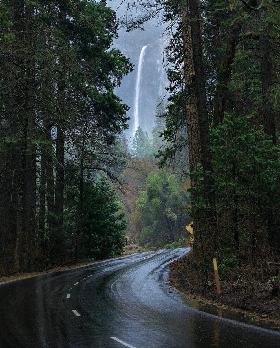 earthcurated's tweet photo. — after the rain 🌧️ https://t.co/DgiotyDMKA