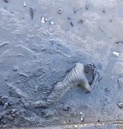 Had a fabulous day searching on the #Riverthames yesterday … ❤️ 💪 

#cityoflondon #mudlarking #mudlarks #heritage #guerillaarchaeology #archaeology #collector