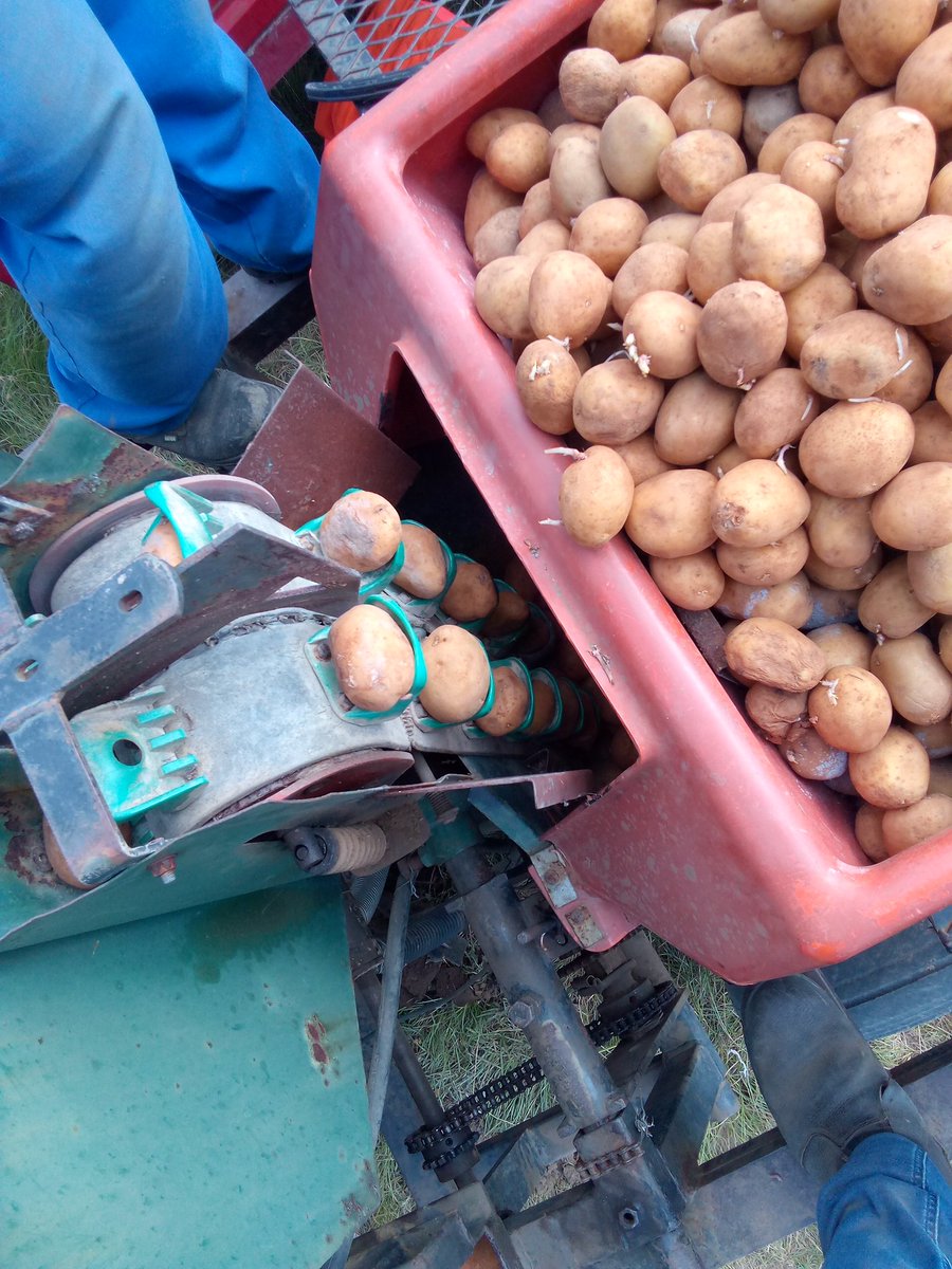 MMavusoo's tweet image. #MCV🥔