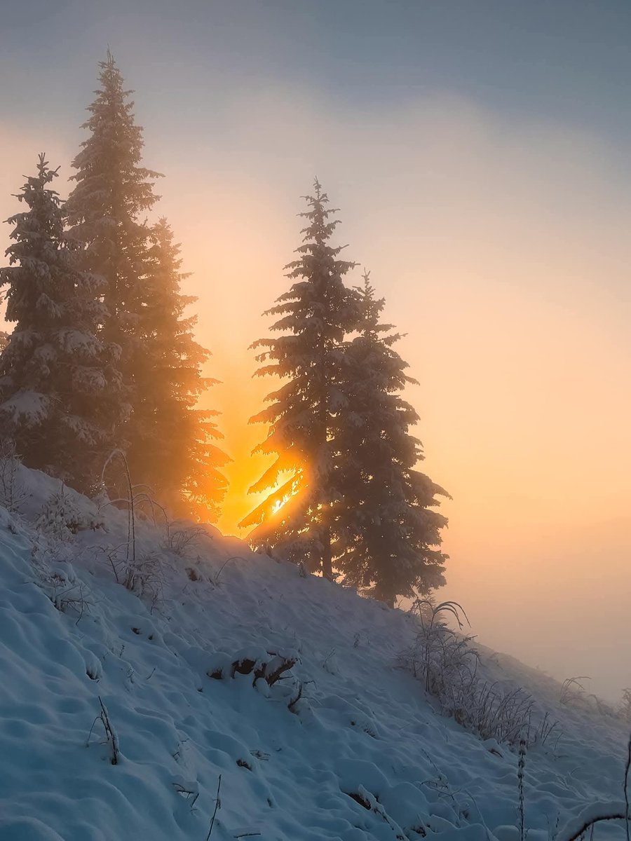 Travel_2Romania's tweet photo. În Pasul Ciumârna,pe un ger de crăpau pietrele 🌡️🥶❄️❄️❄️🏔️🏂#Bucovina #România
25 ianuarie 2025 
©️ Cătălin Urdoi 
#TraveltoRomânia https://t.co/BpfepyRnff