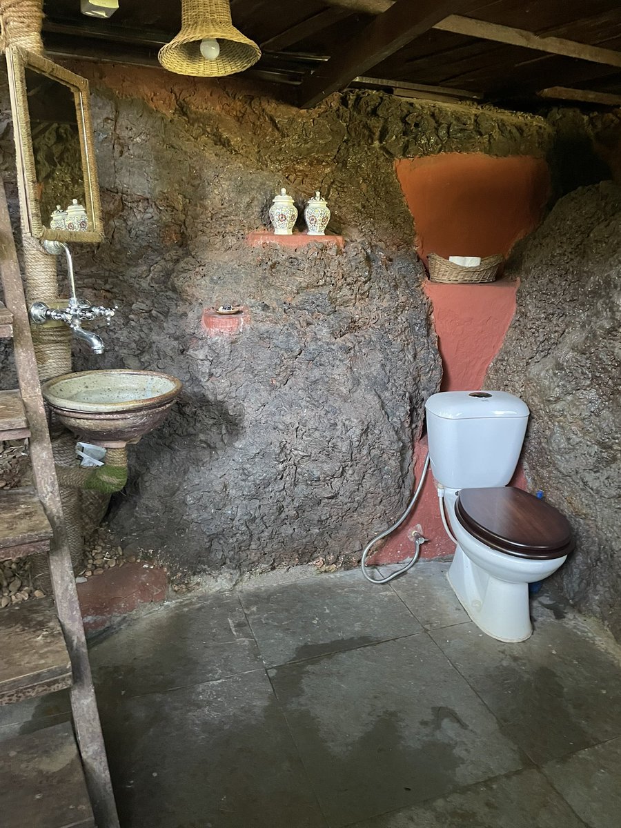 First stop in the jungle #goa