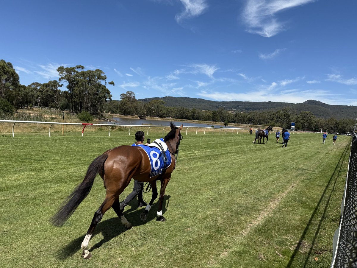 A glorious Oz Day <a href="/KynetonHRock/">KHRRC</a> for Hanging Rock Cup Day with 4,000+ racegoers cheering home Flying Basil in the Cup 🏆 . Congrats to Gary O’Meara &amp; the volunteer committee who make it happen. <a href="/Country_Racing/">Country Racing</a> it’s a great day out!