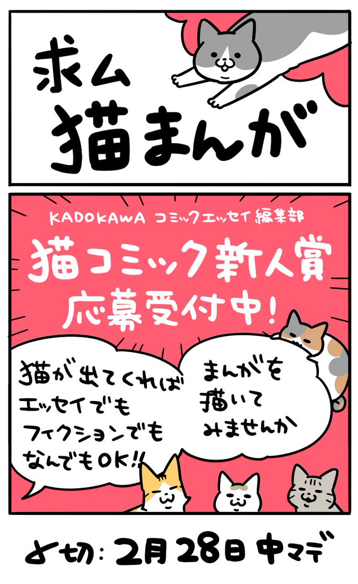猫コミック新人賞のご応募、あと1ヶ月!
未知の猫漫画との出会いを楽しみにしています✨ 