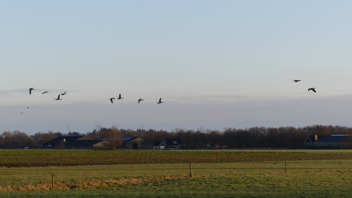 TaxFrancien's tweet photo. Mooie zonnige start vandaag, eindelijk de zon. @weeronline @weer @_weernl @het_weerNL @weerman @weermanrobert  @Weerplaza @buienrader @WNLVandaag  @HartvNL @WeerPuntNL https://t.co/voibON8NCf
