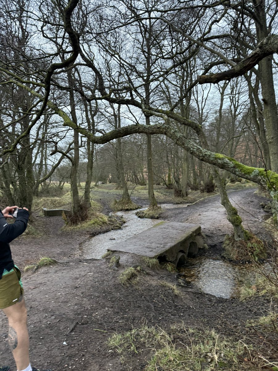 Cannock Chase 🏃‍♀️ #running