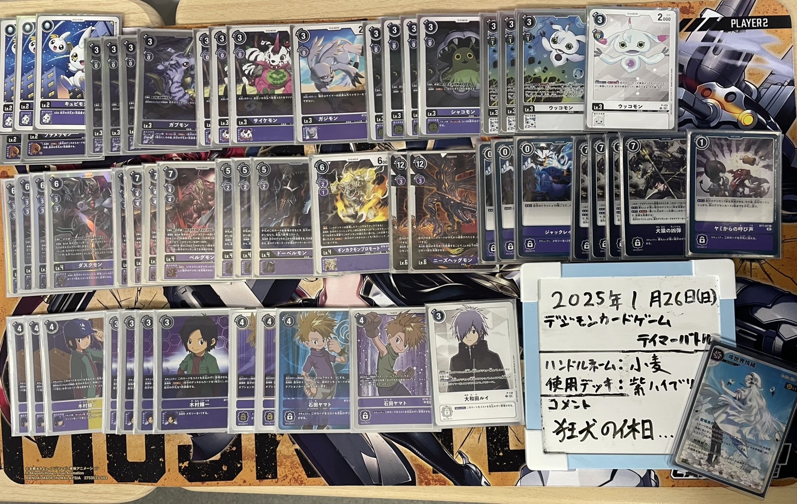 旧デジモンカード 拡張ボードVテイマー01 旧デジモンカード 拡張ボード