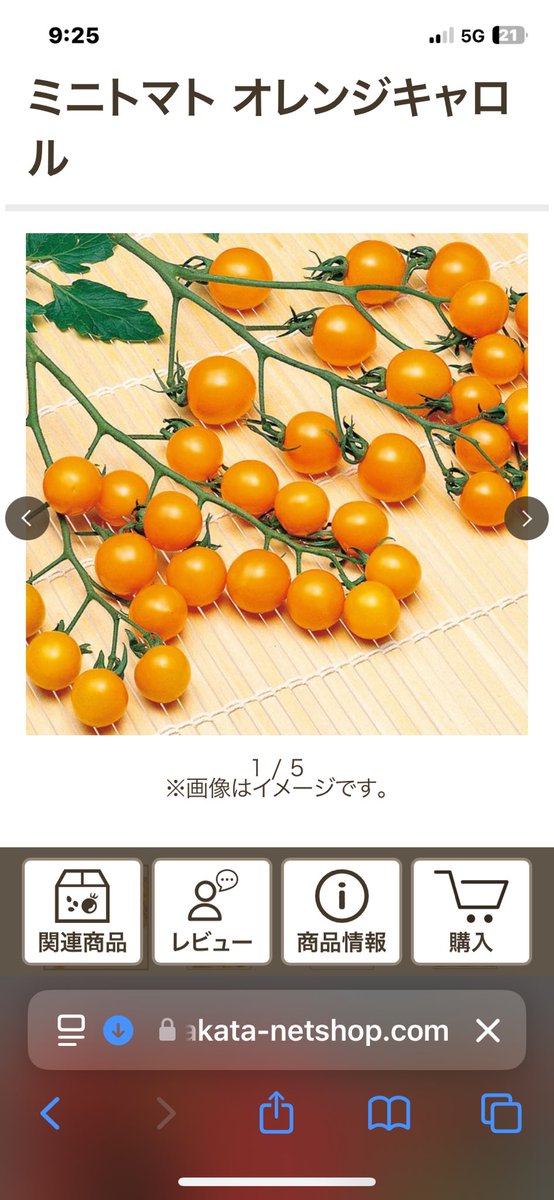 7878shinya's tweet photo. 我が家の家庭菜園は品種が固定化してマンネリ化してましたが
ちょっと興味があるのが
オレンジキャロルというフルーツミニトマト https://t.co/8Cgc2NcYqV