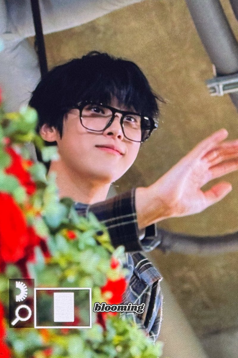 Blooming 🍃 tweet media