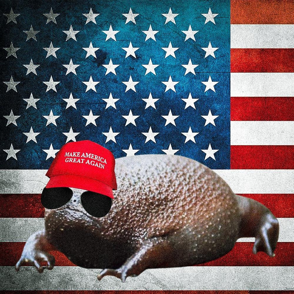 Make America Great Again $Shmog
