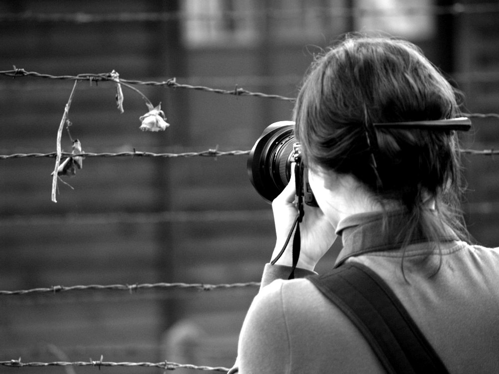 Auschwitz Memorial tweet media