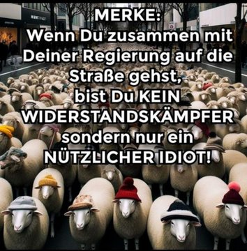 Komisch, dass die Regierungen nicht gegen eingewanderte Mörder zu Demonstrationen aufrufen, oder gegen pädophile Verbrecher...