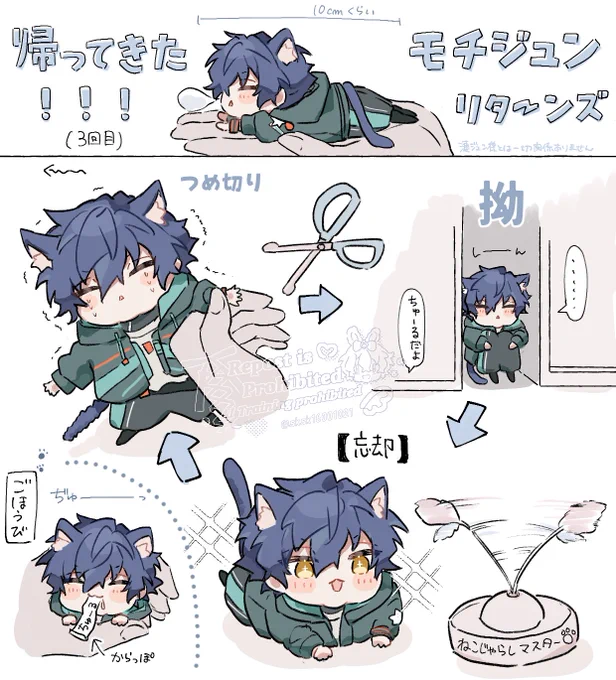 モチジュンの暮らし🍓 