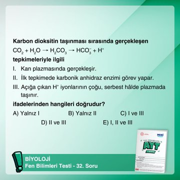 Resim