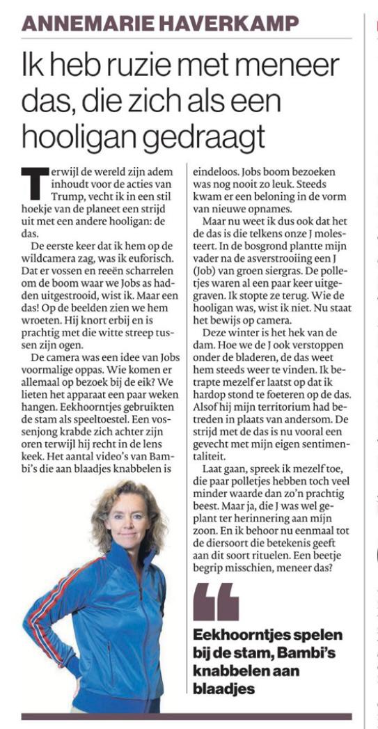 Euforisch was ik toen ik de das op de wildcamera zag, maar nu foeter ik op hem om wat hij sloopt op de begraafplaats.