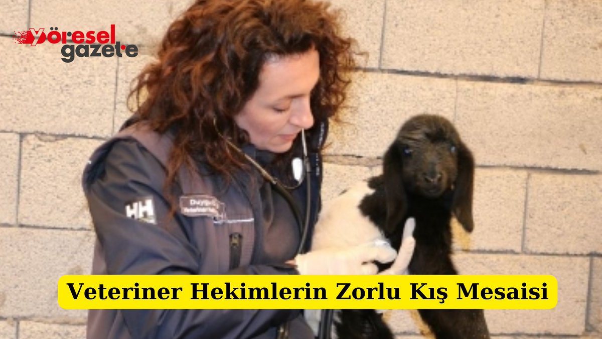 yoreselgazete.com/veteriner-heki…
