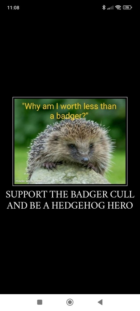 Adrian Richards (@adrianrich51934) on Twitter photo 