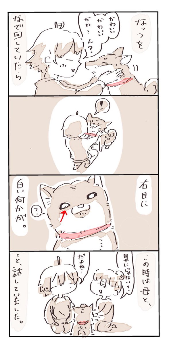 マイボーム腺になった話

#4コマ漫画  #柴犬 #日常 
