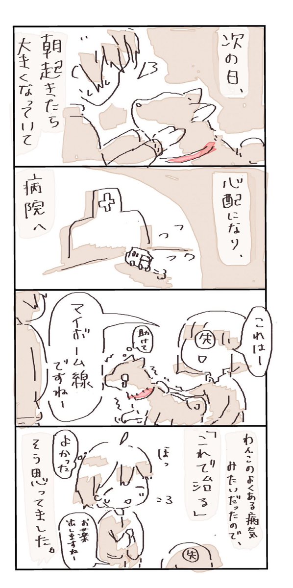 マイボーム腺になった話

#4コマ漫画  #柴犬 #日常 