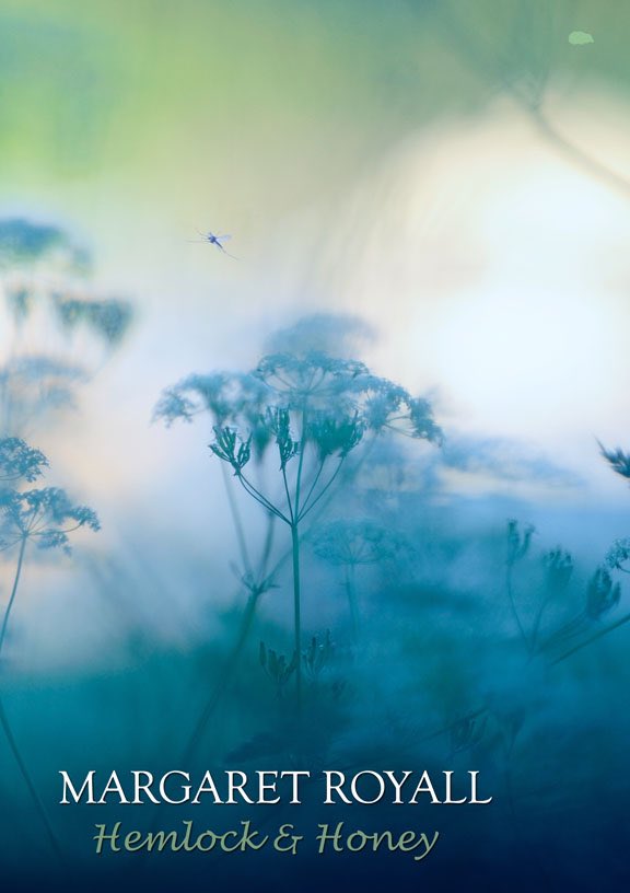 📚Delighted to reveal the cover for my forthcoming pamphlet with @hedgehogpoetry, ‘Hemlock and Honey’. Launching in March with pre-orders opening soon. More updates to follow. Over the moon, this is a special book, which I feared might never see the light of day. Thanks, Mark 🦔