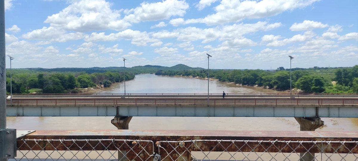 The Environmentalist tweet media