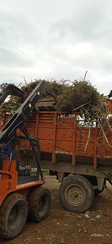 IsmeliDiazM's tweet image. Desde horas tempranas se limpia el municipio #LaHabanaDelEste con el compromiso de los hombres de #Comunales #LaHabanaViveEnMí.