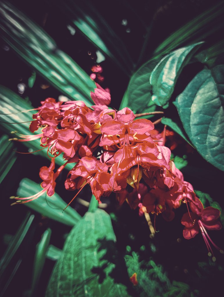 The essence of life is nature’s finest poetry