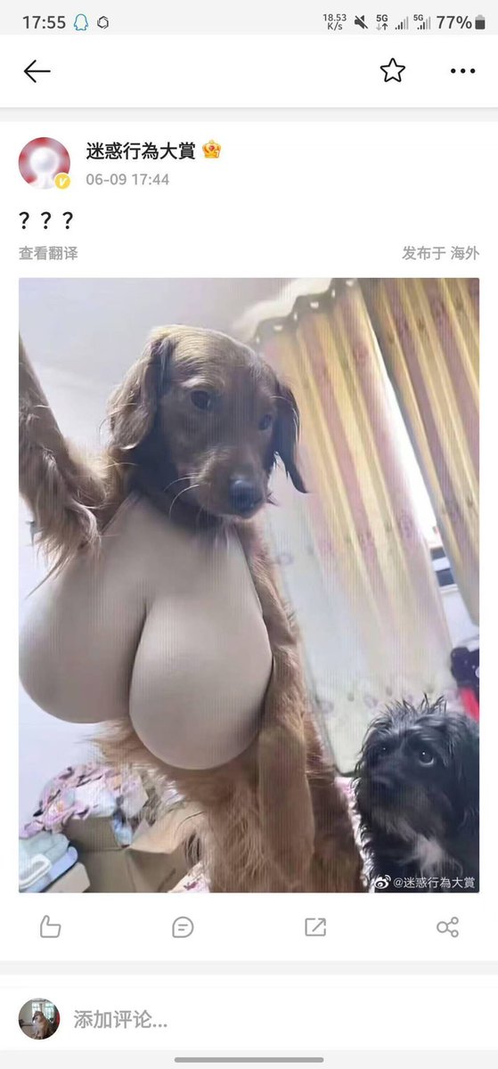 哈哈哈哈哥哥们过门槛遇到过骗子吗