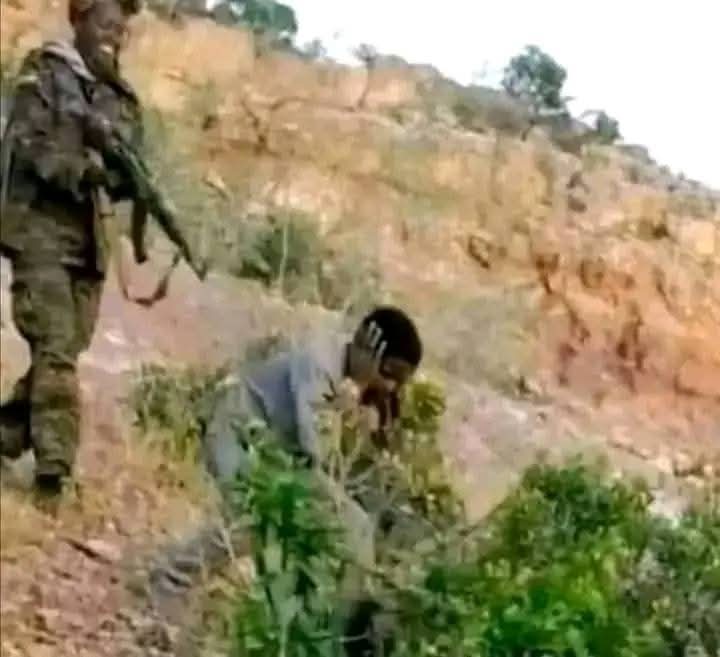 One slap was enough for the boy. But the regime of Ethiopia is doing as the picture shows.
What a dictatorship is?