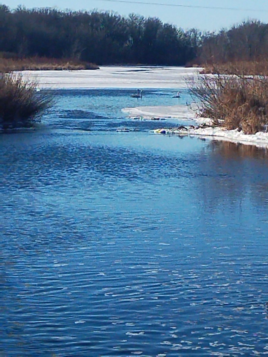 God’s love is forever. Happy Sunday ✌️☀️