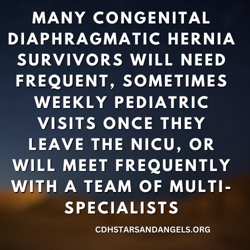 CDH Stars and Angels tweet media