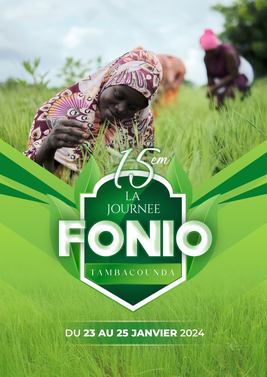 Noo_IDcard's tweet image. La filière locale une des priorité du gouvernement pour l’autosuffisance alimentaire particulièrement  la culture pluviale et les spéculation : arachide , maïs, sorgho et d’autres spéculation qui poussent dans des zones spécifiques comme le fonio a kedougou. @ModouFallCoach, a…