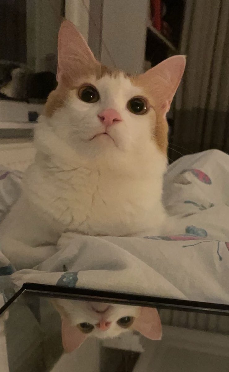 Aynaya bakim da güzel görim biras