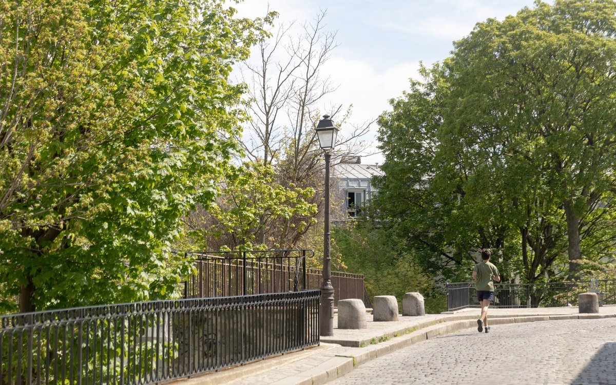 Piétonnisation de Montmartre ! Une bonne nouvelle pour les commerçants.
<a href="/Paris/">Paris</a>
mairie18.paris.fr/pages/pietonis…