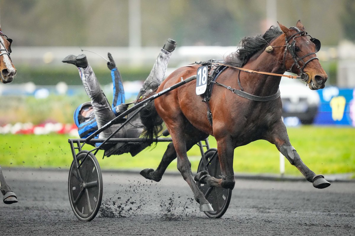equidia's tweet photo. 🏅 Idao de Tillard est le 6⃣e champion à conserver son titre dans le Prix d’Amérique #LegendRace depuis 2000 :
🐴 Varenne (2001-2002)
🐴 Offshore Dream (2007-2008)
🐴 Ready Cash (2011-2012)
🐴 Bold Eagle (2016-2017)
🐴 Face Time Bourbon (2020-2021)
🐴 Idao de Tillard (2024-2025)