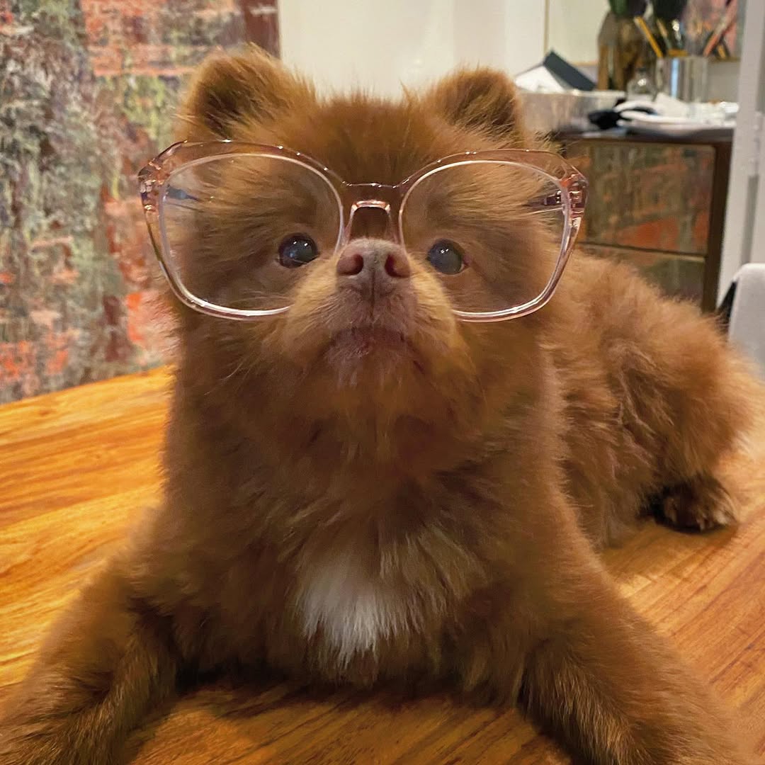 16 years old me when the waiter calls me sir