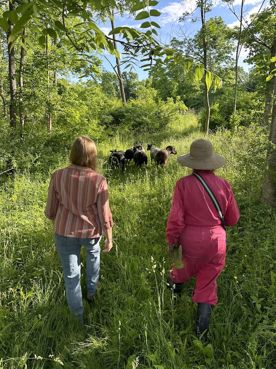 We ought to embrace our entangled state, work with it and each other, exploring "the limits and possibilities of our shared environment rather than hoping for walls, moats, ethnostates, apocalypse retreats, treasure troves, or spacecrafts to sever us from it."

- Maggie Nelson