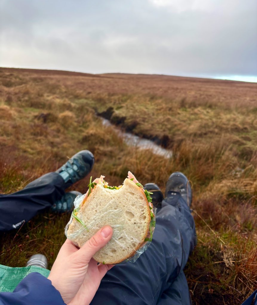 Catherine Baldwin 🏴 (@catearthsci) on Twitter photo Bog brunch / frechdan fawndir 🥪 <a href="/RivEscape/">RIV-ESCAPE Project</a>
#phd #fieldwork #peatland #carbon #geochemistry Bog brunch / frechdan fawndir 🥪 <a href="/RivEscape/">RIV-ESCAPE Project</a>
#phd #fieldwork #peatland #carbon #geochemistry