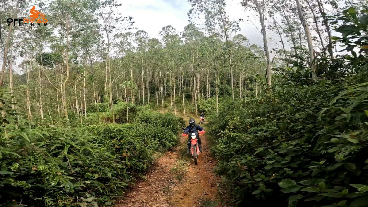 vietnamriders1's tweet photo. Unlike road riding, where the scenery is a blur, off-road riding immerses you in the environment. 🔏
📲 https://t.co/uxO6RC6cSr
#offroadriding #aliveanddynamic #partofsomethingbigger #vietnam #xuhuong2025 #trending2025 #motorbike #motorcycle #tour #rental #honda #XR150L #CRF250 https://t.co/ft8KAQfPhF