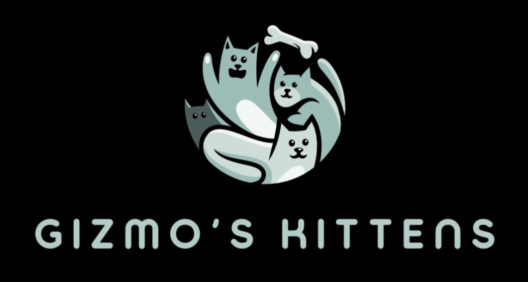 Team 9:
Gizmo’s Kittens‼️
🎮<a href="/Poisqn_/">Poisqn</a> 
🎮<a href="/VnRevo/">Revo</a> 
🎮<a href="/SketchyySan/">FT Sketchyy</a> 
🎮FrogDog