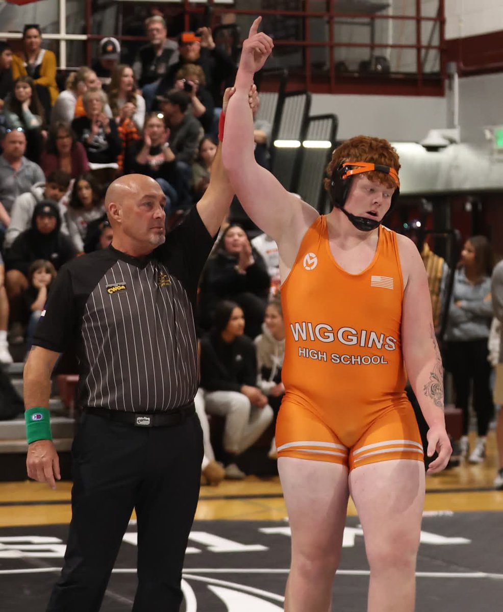 Stephen Linton tweet media